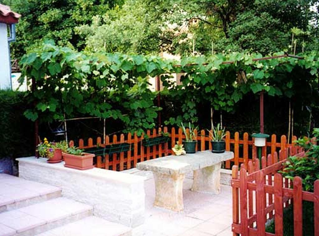 Apartment Felix Porec Esterno foto